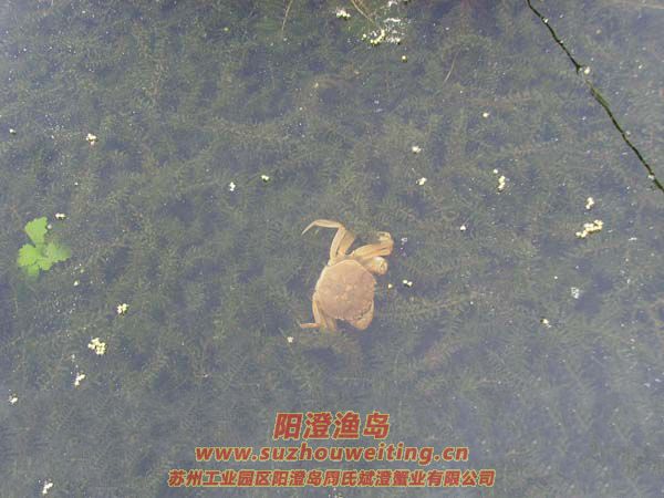 B(yng)ֳ(chng)ïܵˮ݈DƬʮ