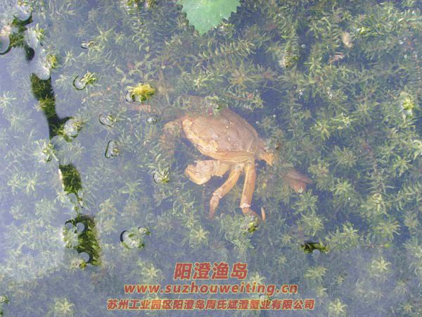 B(yng)ֳ(chng)ïܵˮ݈DƬʮ