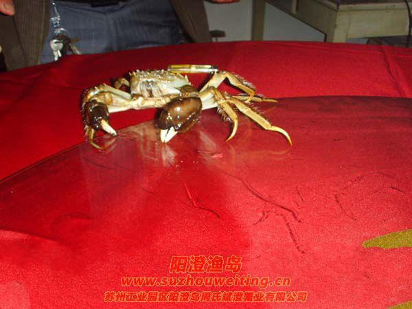 (yng)κlзc(din)֮һ