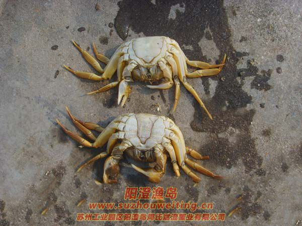 ꖳκlзз