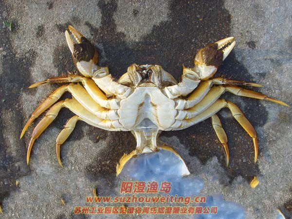 ꖳκlзз