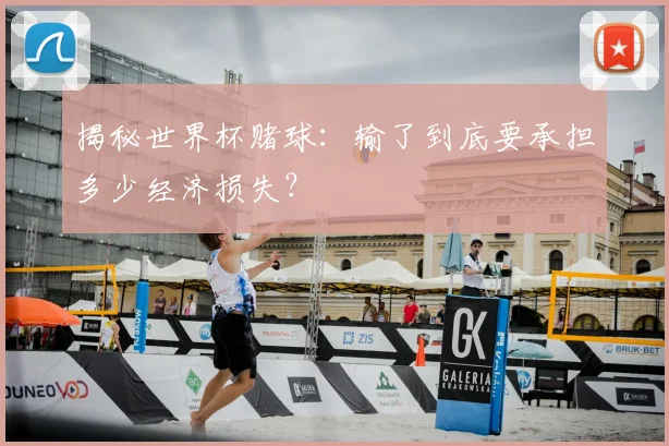 揭秘世界杯赌球:输了到底要承担多少经济损失?
