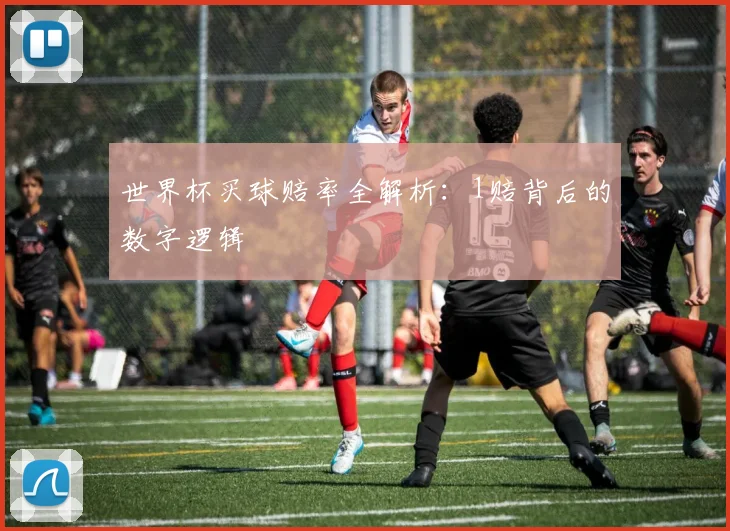 世界杯买球赔率全解析：1赔背后的数字逻辑