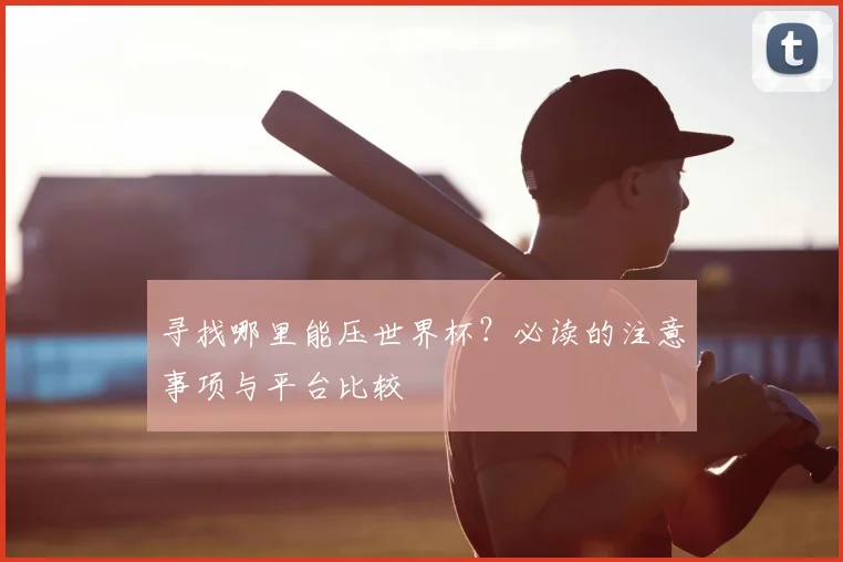 寻找哪里能压世界杯？必读的注意事项与平台比较