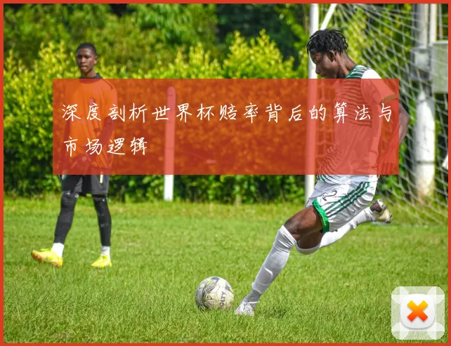 深度剖析世界杯赔率背后的算法与市场逻辑