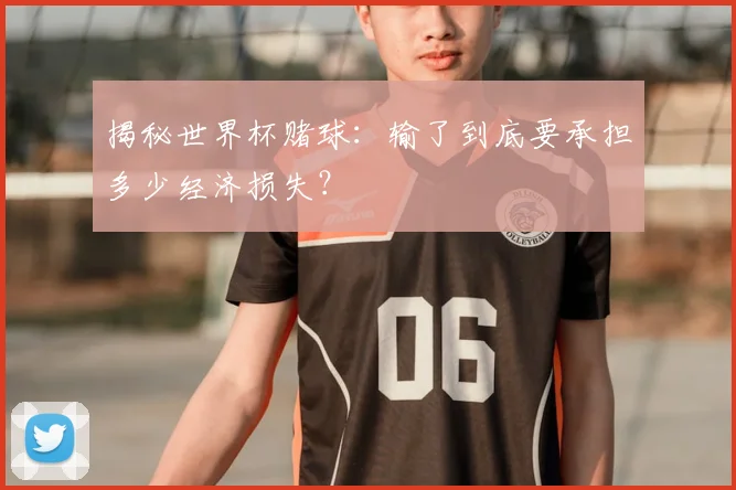 揭秘世界杯赌球:输了到底要承担多少经济损失?