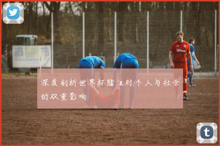 深度剖析世界杯赌注对个人与社会的双重影响