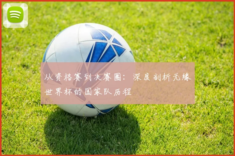 从资格赛到决赛圈：深度剖析无缘世界杯的国家队历程