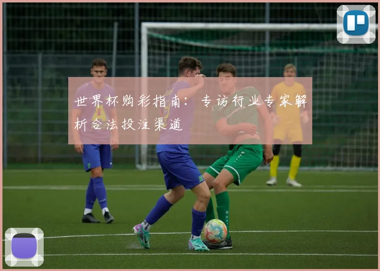 世界杯购彩指南：专访行业专家解析合法投注渠道