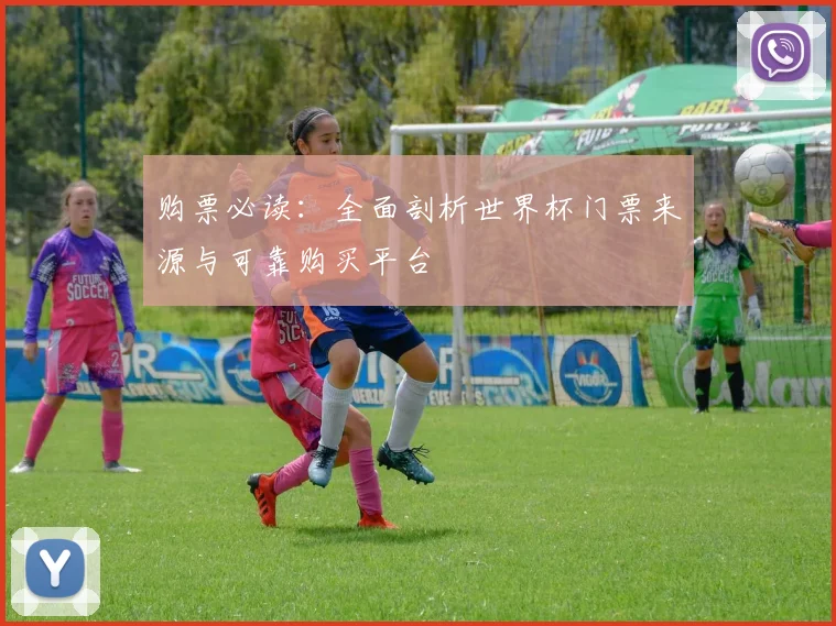 购票必读：全面剖析世界杯门票来源与可靠购买平台
