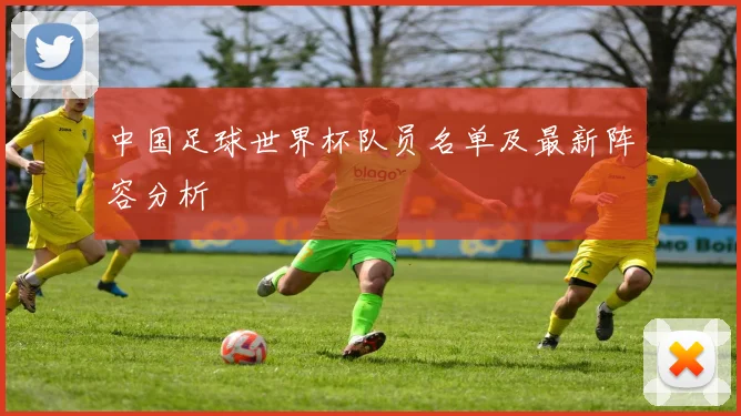 中国足球世界杯队员名单及最新阵容分析